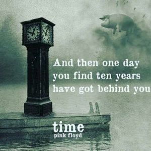 Meet your Posher, Larry